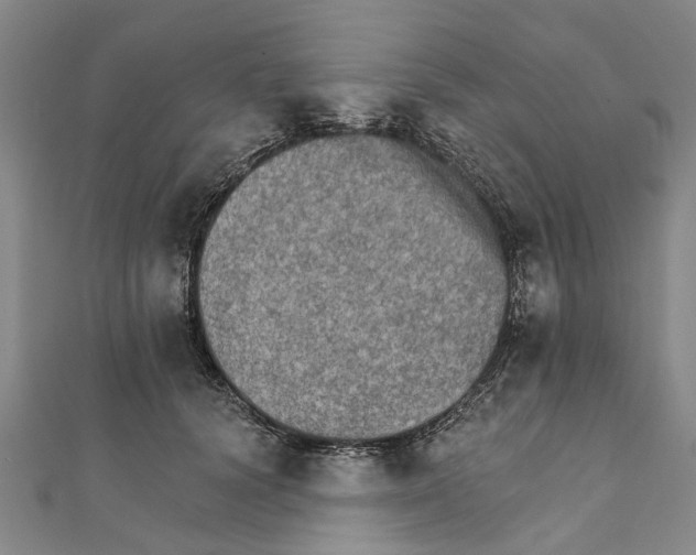X0000111800656200908201154