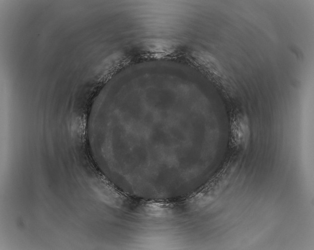 X0000111800657200908201154