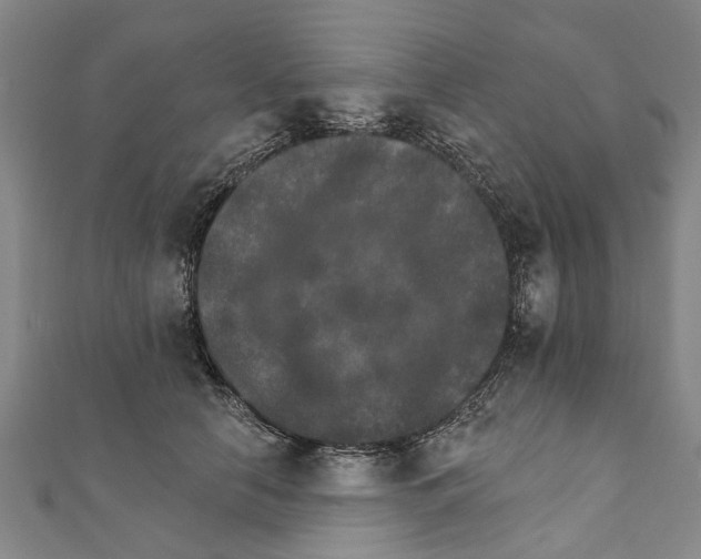 X0000111800658200908201154