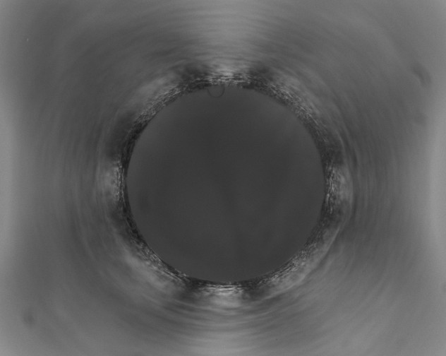 X0000111800659200908201154
