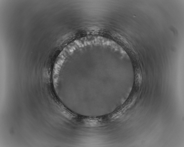 X0000111800661200908201154