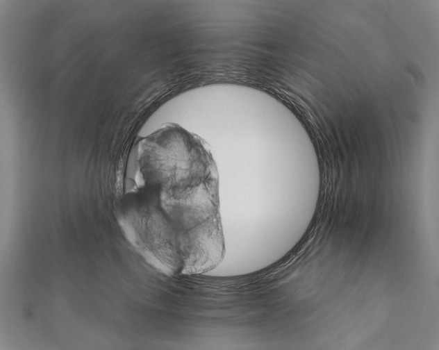 X0000111800665200908201154
