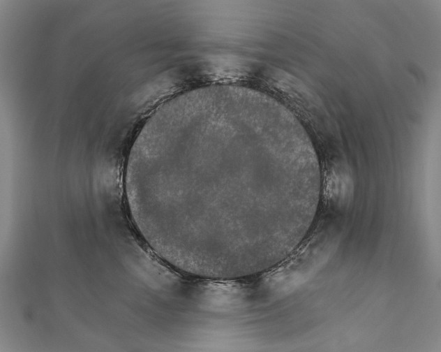 X0000111800666200908201154