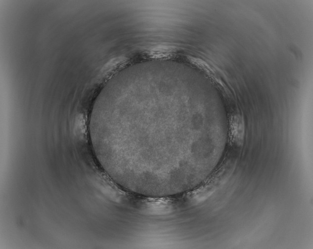X0000111800667200908201154