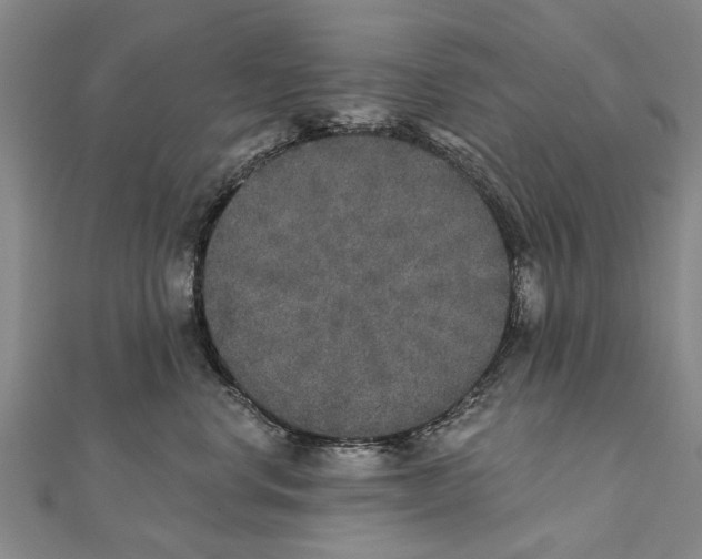 X0000111800668200908201154