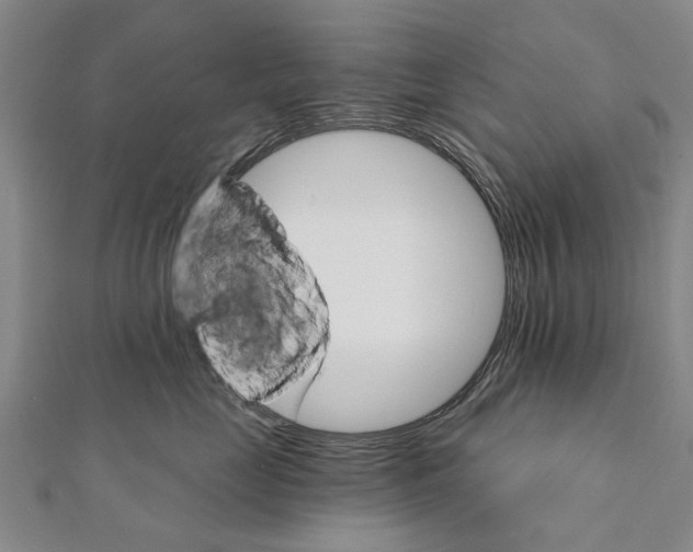 X0000111800669200908201154
