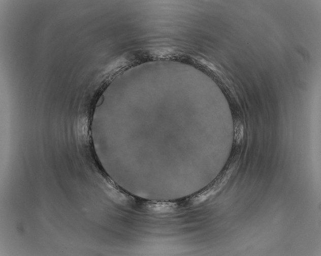 X0000111800670200908201154