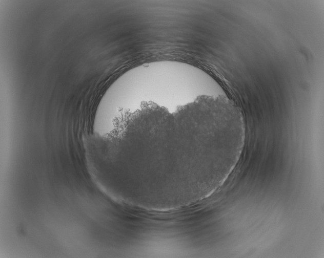 X0000111800671200908201154