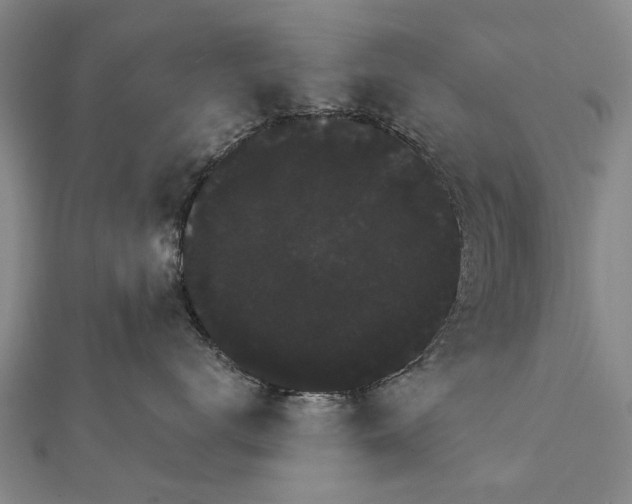 X0000111800672200908201154