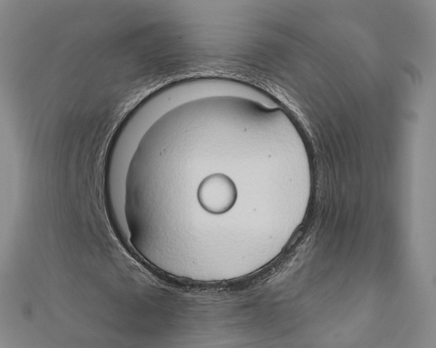 X0000111800673200908201154