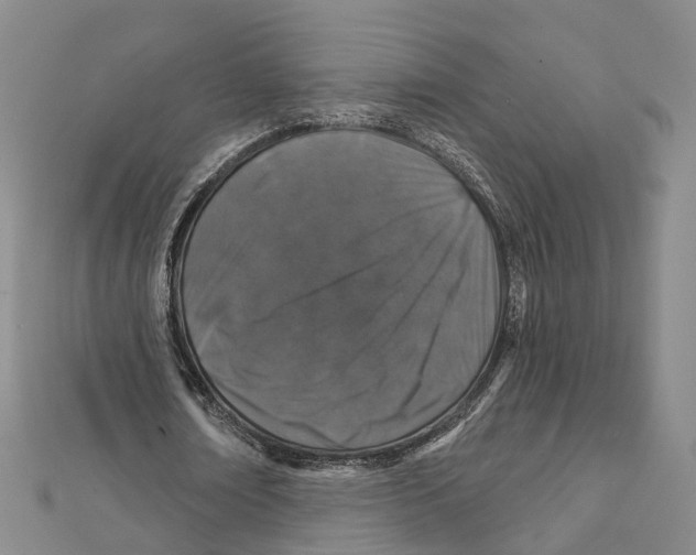 X0000111800674200908201154