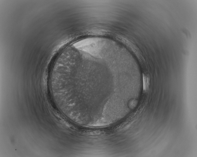 X0000111800675200908201154