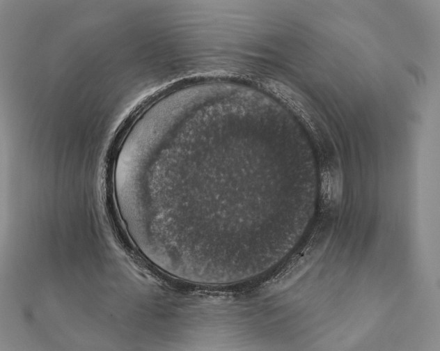 X0000111800676200908201154
