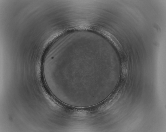 X0000111800677200908201154