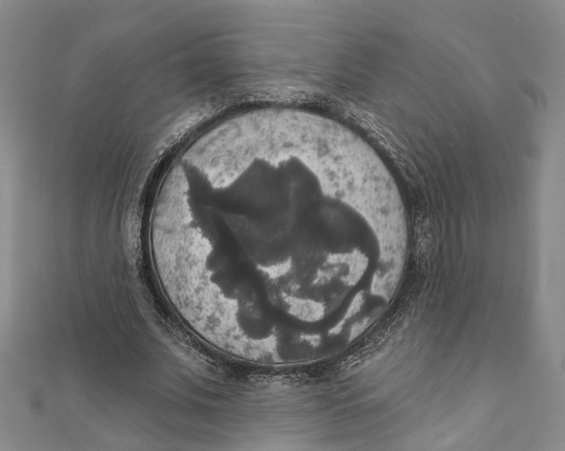 X0000111800679200908201154