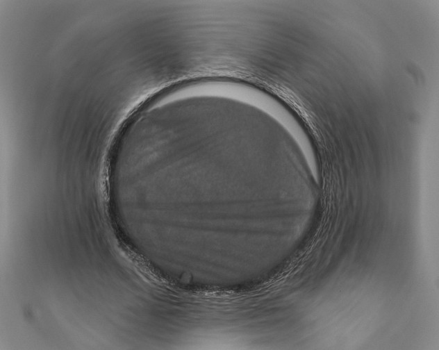 X0000111800680200908201154