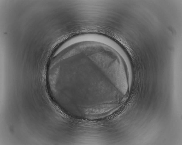 X0000111800681200908201154