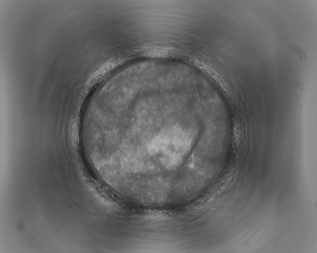 X0000111800682200908201154