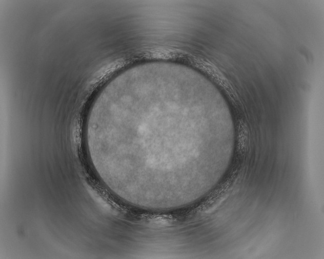 X0000111800683200908201154