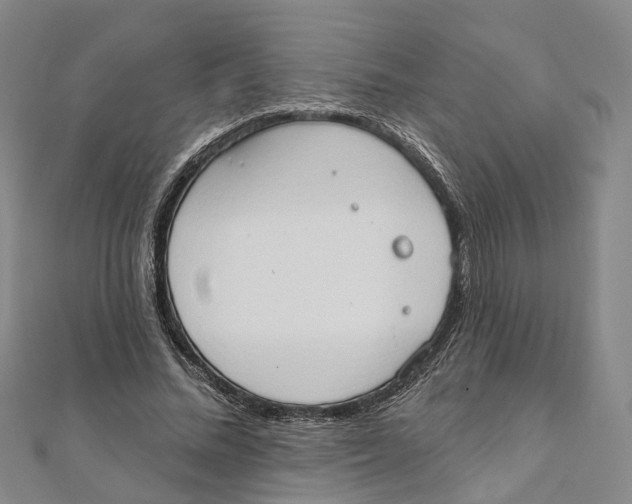 X0000111800684200908201154