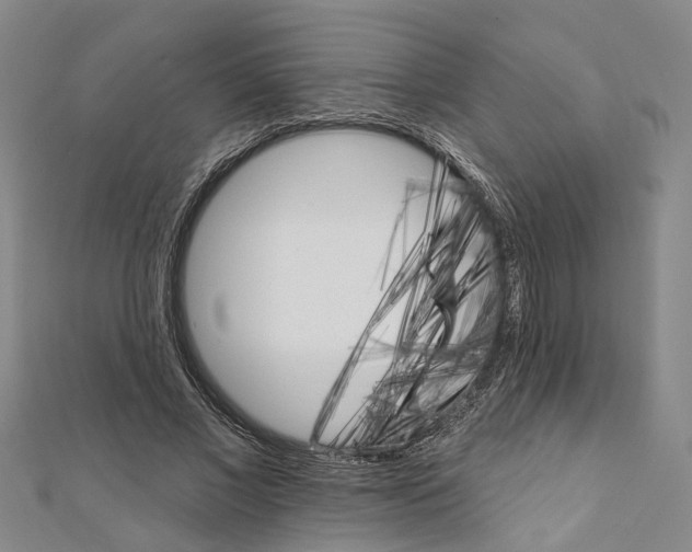 X0000111800685200908201154
