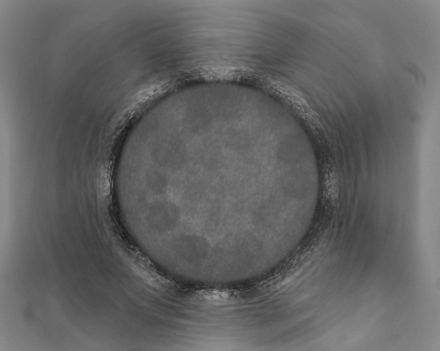 X0000111800687200908201154