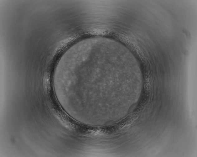 X0000111800688200908201154