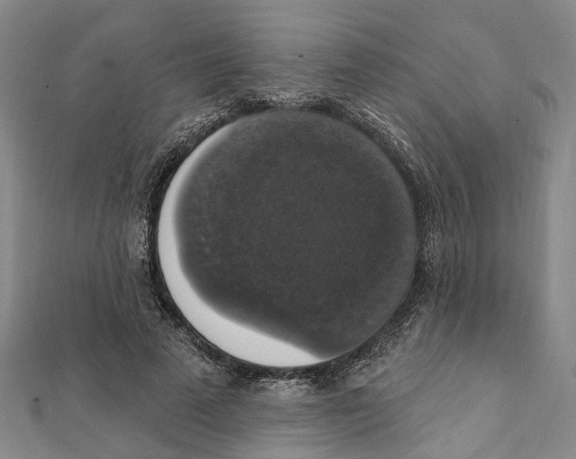 X0000111800689200908201154