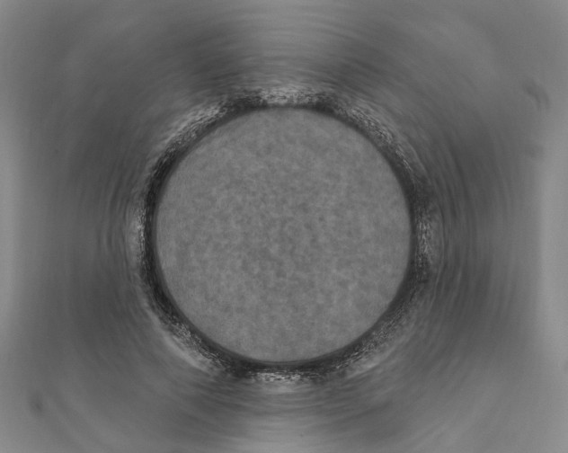 X0000111800690200908201154