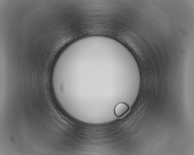 X0000111800692200908201154