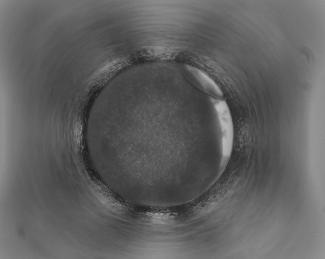 X0000111800693200908201154
