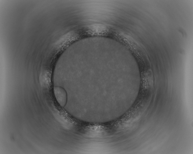 X0000111800695200908201154