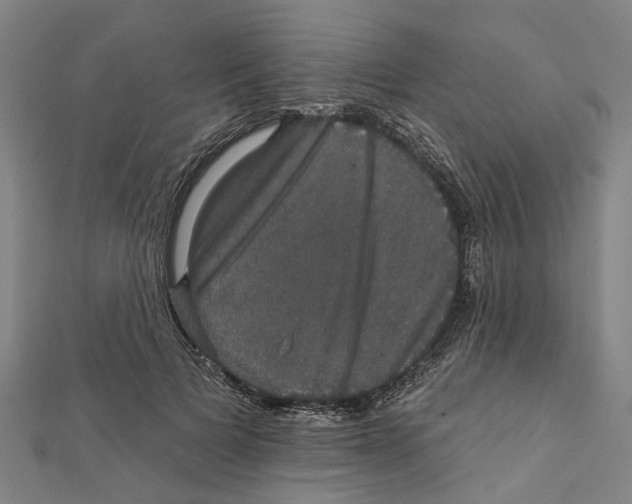 X0000111800697200908201153