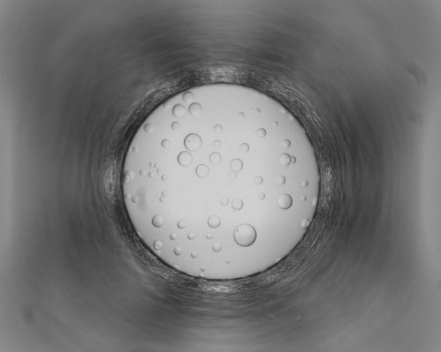 X0000111800698200908201153
