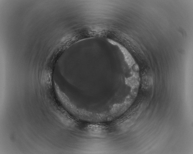 X0000111800699200908201153
