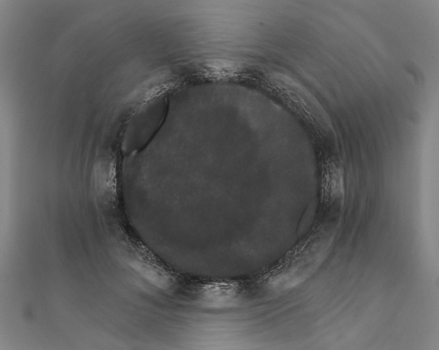 X0000111800700200908201153