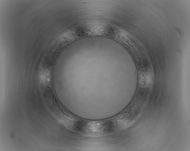 X0000111800701200908201153