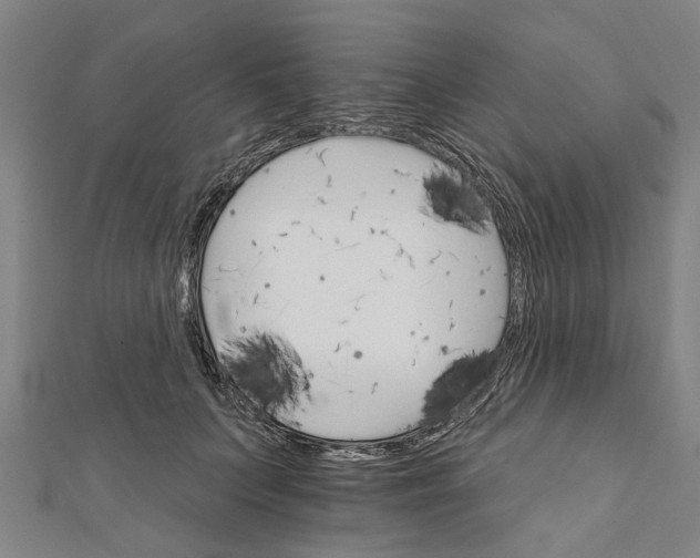 X0000111800703200908201153