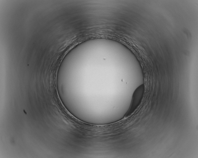 X0000111800704200908201153