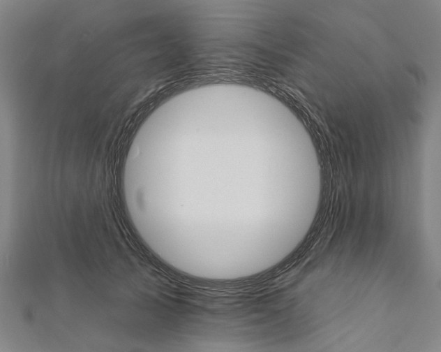 X0000111800705200908201153
