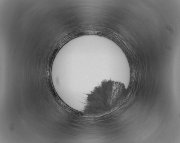 X0000111800707200908201153