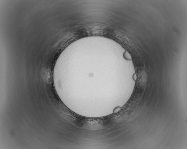 X0000111800709200908201153
