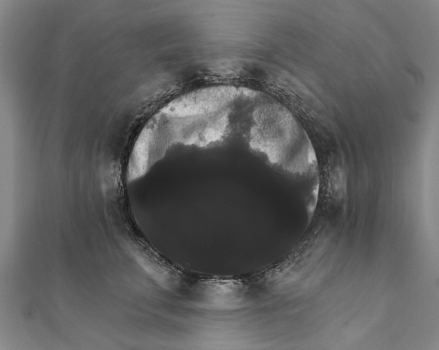 X0000111800711200908201153