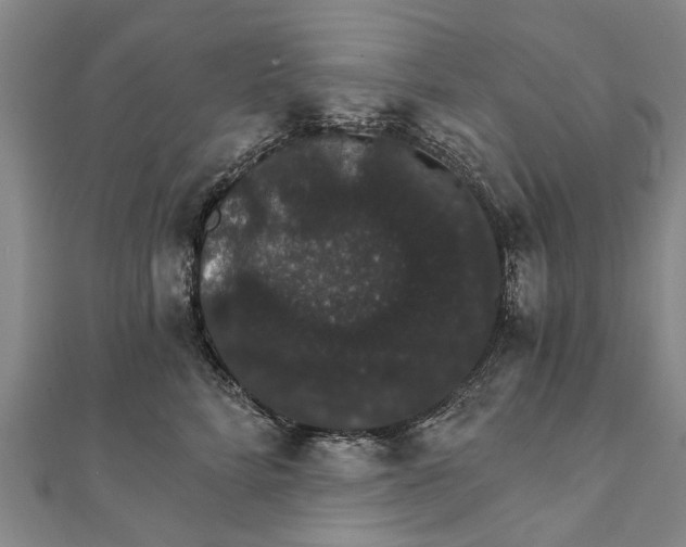X0000111800712200908201153