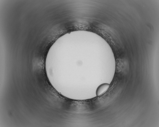 X0000111800713200908201153