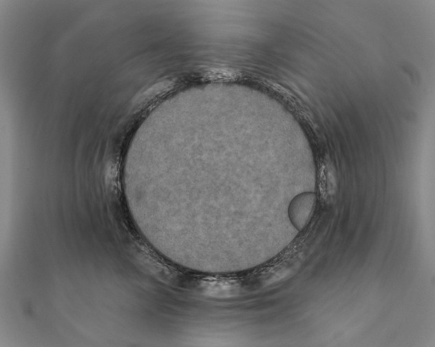 X0000111800714200908201153