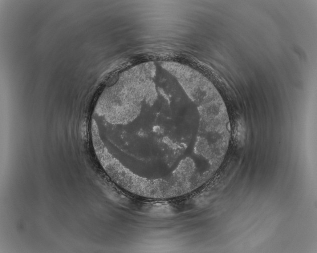 X0000111800715200908201153