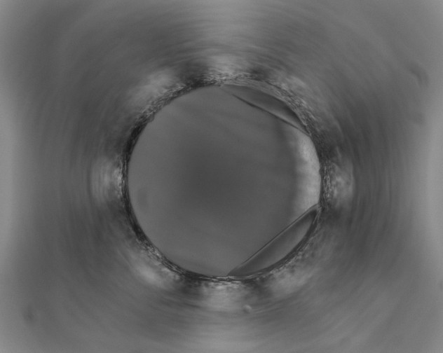 X0000111800716200908201153