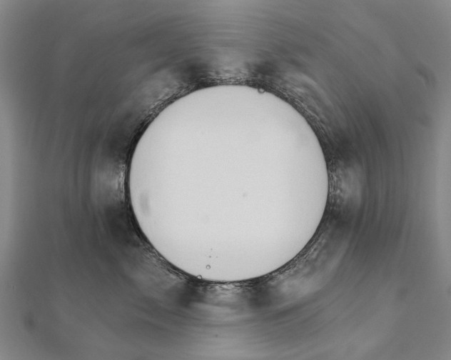 X0000111800717200908201153