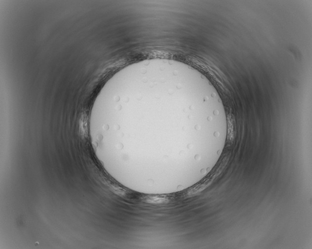 X0000111800718200908201153